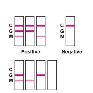 COVID-19 IgG/IgM Rapid Test
