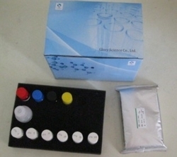 Receptor de la insulina humana Kit (INSR) ELISA