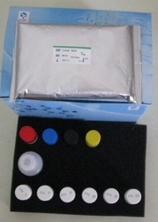Ratón Ciclofosfamida Kit (CTX) ELISA